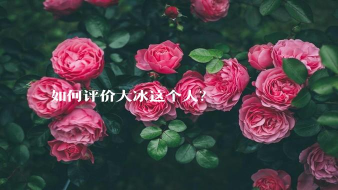 如何评价大冰这个人？